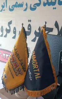 همکاری در نمایندگی