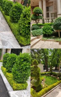خدمات باغبانی  روباط کریم پرند شهریاری باقرشهر