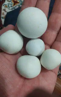 سنگ الماس آسیاب اصل