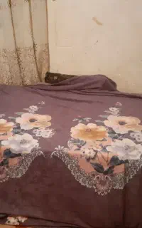 تخت خواب