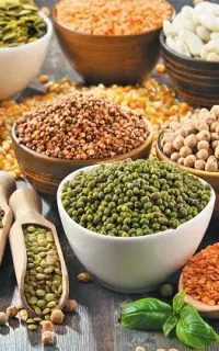 کار درمنزل