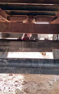 تریلی تراکتور نو تک جک همه جیز نو