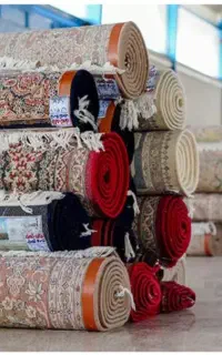 قالیشویی تلاش