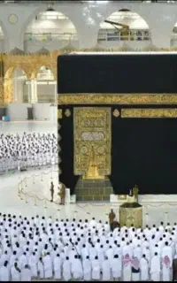 فیش حج واجب