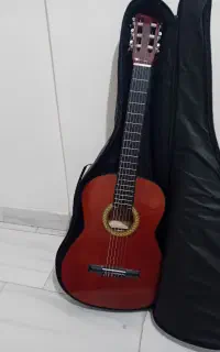 گیتار درحدنو