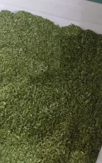 نعناع وشویدخشک درجه یک