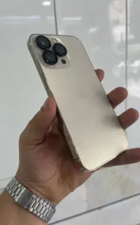 13pro