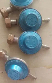 رگلاتور کپسول