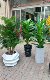 حراج درختچه مصنوعی