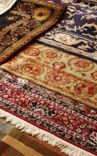 قالیشویی پازیریک شهریار فردوسیه وحیدیه باغستان