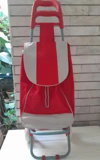 ساک دستی خرید
