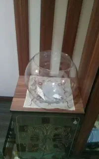 تنگ ماهی بزرگ بدون خراش