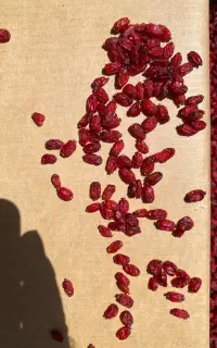 زرشک‌پفکی اعلا در کارگاه تولیدی قاین‌ نیاوران ۲۸