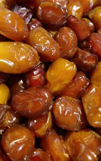 خرمای عسلی اصیل طبس