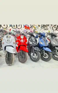 پاکشتی و مینی تریل