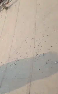 نصب و فروش ایزوگام