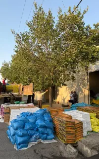کشمش بیدانه مویز فخری حلوایی  چرخشده