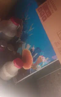 اکواریوم بزرگ