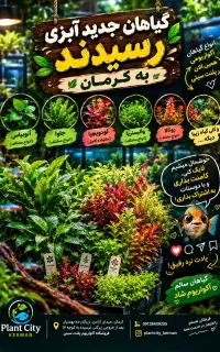 متنوع ترین گیاهان آبزی در مجموعه پلنت سیتی کرمان