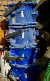 شیر پروانه ای