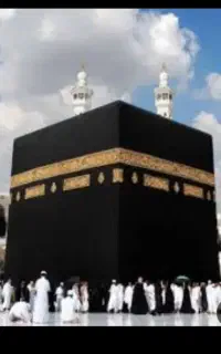 فیش حج عمره الویت430