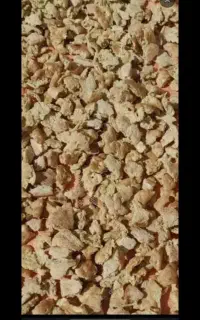 نان خشک تمیز درجه یک زاهدان دوستان