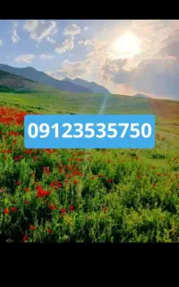 فروش خط رند