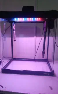آکواریوم شیشه خم
