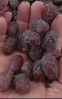خرما تن ب ا ک
