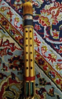 دسته نی انبان واموزش بصورت حرفه ای