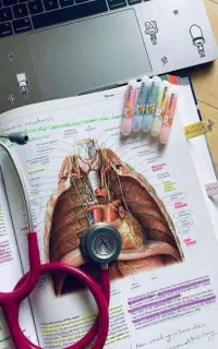 مشاوره تخصصی تحصیلی قبولی تضمینی۴ماهه