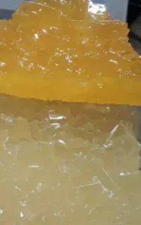 نیروی اقا و خانم