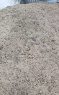 کود گوسفندی