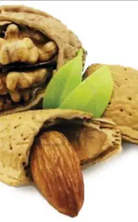 خرید گردو وبادام