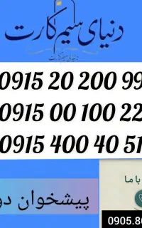 0915.20.200.99