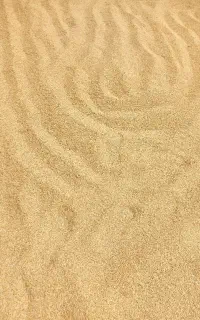 فروش عمده و خرده برنج طاروم هاشمی(چلتوک)