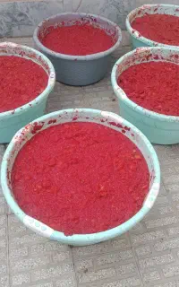 رب خانگی