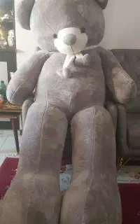 خرس دو متر و نیمی غول پیکر