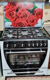 گاز فردا روبینا