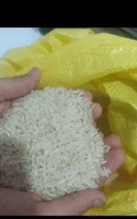برنج چمپا اصلی شیراز رو ازماخریدکنین