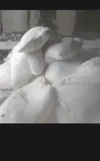 بنا با کارگر تمامی نقاط تهران  کنترات و روزمزد
