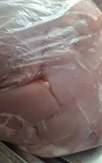 مرغ     بال  و سینه موجود
