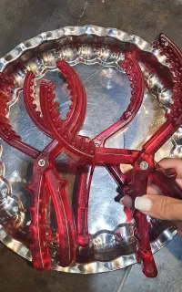 انبر دیزی
