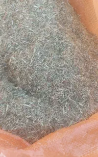 خار شتر خالص
