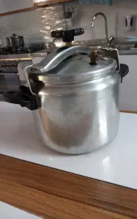 زودپز سالم