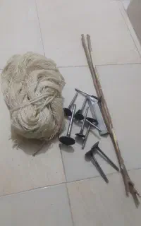 توره پرنده