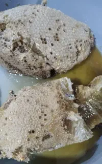 عسل طبیعی کوهی