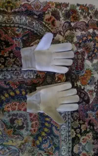 دسکش دروازه بانی