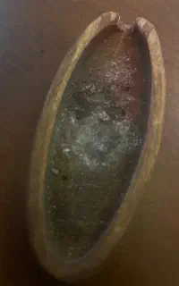 چوب زیرسیگاری کشیده