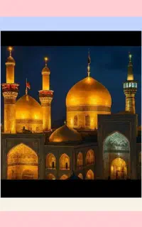 سفر زمینی مشهدالرضا امکان تسویه مرحله‌ای با صیادی